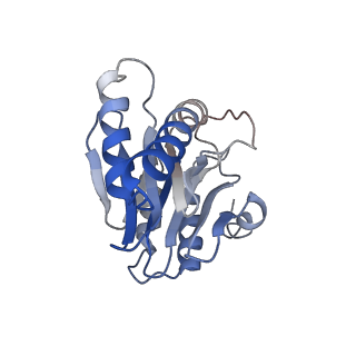 0211_6he7_5_v1-1
20S proteasome from Archaeoglobus fulgidus