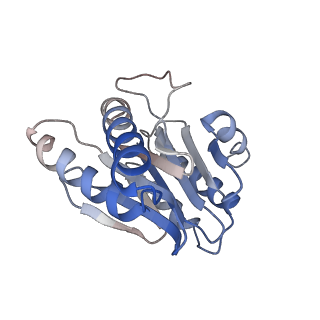 0211_6he7_6_v1-1
20S proteasome from Archaeoglobus fulgidus