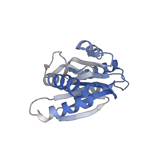 0211_6he7_7_v1-1
20S proteasome from Archaeoglobus fulgidus