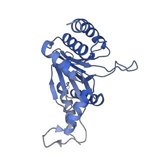 0211_6he7_A_v1-1
20S proteasome from Archaeoglobus fulgidus