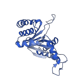 0211_6he7_B_v1-1
20S proteasome from Archaeoglobus fulgidus