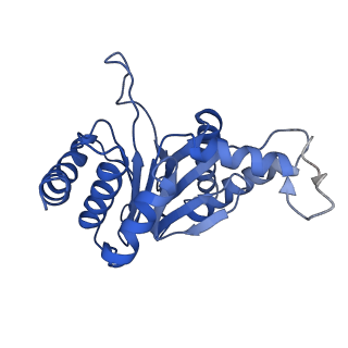 0211_6he7_C_v1-1
20S proteasome from Archaeoglobus fulgidus