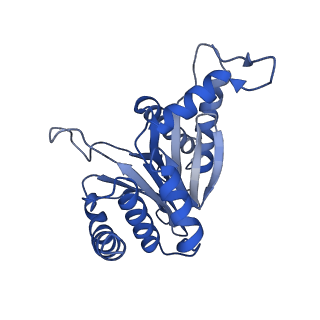 0211_6he7_D_v1-1
20S proteasome from Archaeoglobus fulgidus