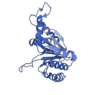 0211_6he7_E_v1-1
20S proteasome from Archaeoglobus fulgidus