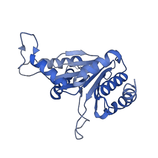 0211_6he7_F_v1-1
20S proteasome from Archaeoglobus fulgidus