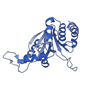 0211_6he7_G_v1-1
20S proteasome from Archaeoglobus fulgidus