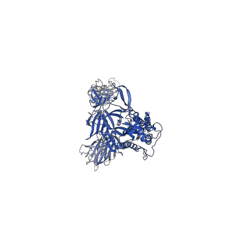 34686_8heb_A_v1-0
SARS-CoV-2 Spike trimer in complex with RmAb 9H1 Fab in the class 1 conformation