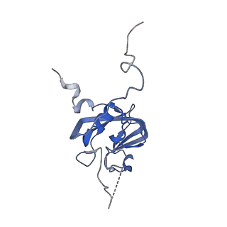 34689_8hee_A_v1-0
Pentamer of FMDV (A/TUR/14/98)