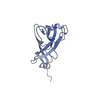 34689_8hee_B_v1-0
Pentamer of FMDV (A/TUR/14/98)