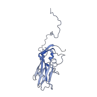 34689_8hee_C_v1-0
Pentamer of FMDV (A/TUR/14/98)