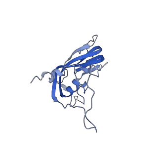 34689_8hee_D_v1-0
Pentamer of FMDV (A/TUR/14/98)