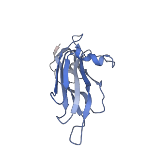 34689_8hee_H_v1-0
Pentamer of FMDV (A/TUR/14/98)