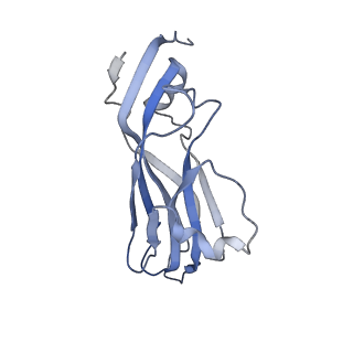 34689_8hee_I_v1-0
Pentamer of FMDV (A/TUR/14/98)