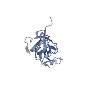 34689_8hee_J_v1-0
Pentamer of FMDV (A/TUR/14/98)