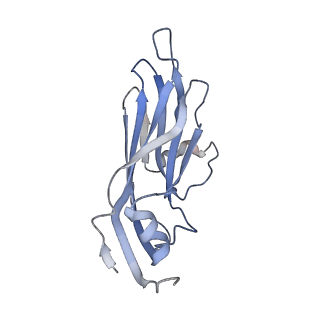 34689_8hee_K_v1-0
Pentamer of FMDV (A/TUR/14/98)