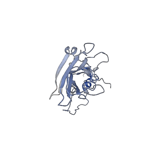 34689_8hee_O_v1-0
Pentamer of FMDV (A/TUR/14/98)