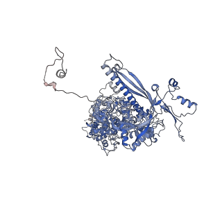 34696_8hex_C_v1-0
C5 portal vertex in HCMV B-capsid