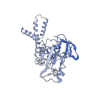 34696_8hex_I_v1-0
C5 portal vertex in HCMV B-capsid