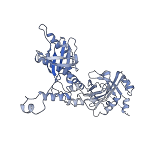 34696_8hex_M_v1-0
C5 portal vertex in HCMV B-capsid