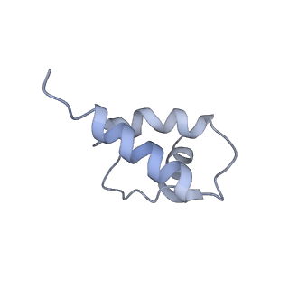 34696_8hex_R_v1-0
C5 portal vertex in HCMV B-capsid