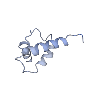 34696_8hex_j_v1-0
C5 portal vertex in HCMV B-capsid