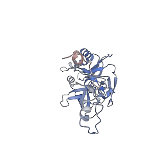 34696_8hex_m_v1-0
C5 portal vertex in HCMV B-capsid