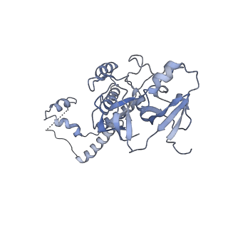 34696_8hex_n_v1-0
C5 portal vertex in HCMV B-capsid