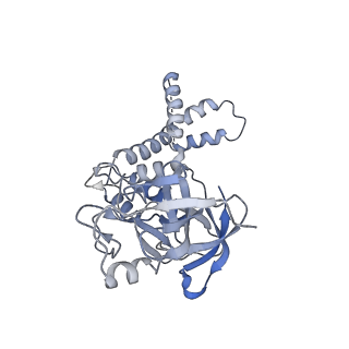 34696_8hex_o_v1-0
C5 portal vertex in HCMV B-capsid
