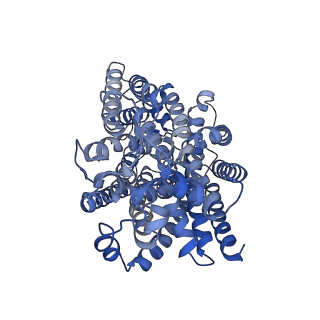 34705_8hez_A_v1-2
Structure of human SGLT2-MAP17 complex with Dapagliflozin