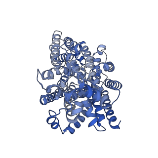 34705_8hez_A_v1-3
Structure of human SGLT2-MAP17 complex with Dapagliflozin