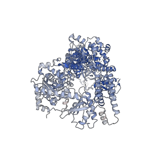 34707_8hf0_A_v1-0
DmDcr-2/R2D2/LoqsPD with 50bp-dsRNA in Dimer state