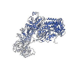 34707_8hf0_D_v1-0
DmDcr-2/R2D2/LoqsPD with 50bp-dsRNA in Dimer state