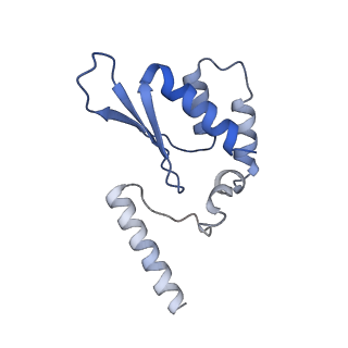 34707_8hf0_E_v1-0
DmDcr-2/R2D2/LoqsPD with 50bp-dsRNA in Dimer state