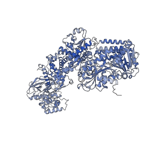 34708_8hf1_D_v1-0
DmDcr-2/R2D2/LoqsPD with 19bp-dsRNA in Trimer state