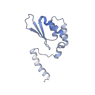 34708_8hf1_F_v1-0
DmDcr-2/R2D2/LoqsPD with 19bp-dsRNA in Trimer state