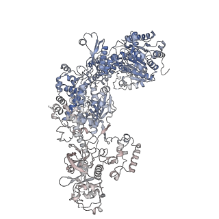 34708_8hf1_G_v1-0
DmDcr-2/R2D2/LoqsPD with 19bp-dsRNA in Trimer state