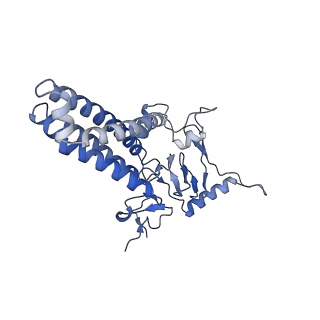 34711_8hf3_A_v1-0
Cryo-EM structure of human ZDHHC9/GCP16 complex