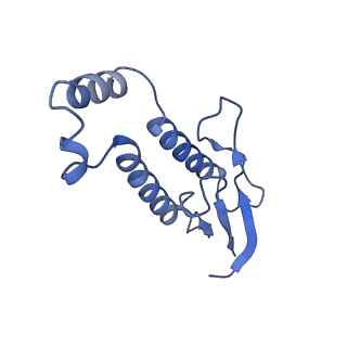 34711_8hf3_B_v1-0
Cryo-EM structure of human ZDHHC9/GCP16 complex