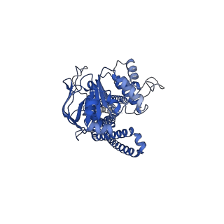 34712_8hf4_A_v1-1
Cryo-EM structure of nucleotide-bound ComA at outward-facing state with EC gate closed conformation