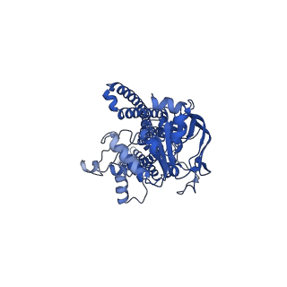 34712_8hf4_B_v1-1
Cryo-EM structure of nucleotide-bound ComA at outward-facing state with EC gate closed conformation