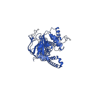 34713_8hf5_A_v1-1
Cryo-EM structure of nucleotide-bound ComA at outward-facing state with EC gate open conformation