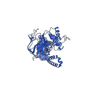 34713_8hf5_A_v1-2
Cryo-EM structure of nucleotide-bound ComA at outward-facing state with EC gate open conformation