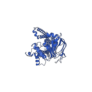 34713_8hf5_B_v1-1
Cryo-EM structure of nucleotide-bound ComA at outward-facing state with EC gate open conformation