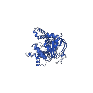 34713_8hf5_B_v1-2
Cryo-EM structure of nucleotide-bound ComA at outward-facing state with EC gate open conformation