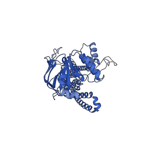 34714_8hf6_A_v1-1
Cryo-EM structure of nucleotide-bound ComA E647Q mutant