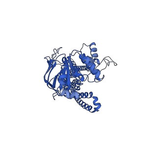 34714_8hf6_A_v1-2
Cryo-EM structure of nucleotide-bound ComA E647Q mutant