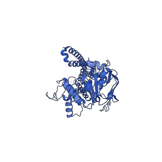 34714_8hf6_B_v1-1
Cryo-EM structure of nucleotide-bound ComA E647Q mutant