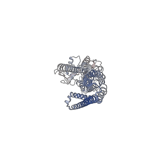 34715_8hf7_A_v1-1
Cryo-EM structure of ComA bound to its mature substrate CSP peptide