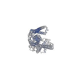 34715_8hf7_B_v1-1
Cryo-EM structure of ComA bound to its mature substrate CSP peptide