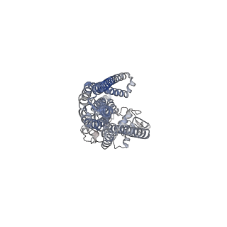 34715_8hf7_B_v1-2
Cryo-EM structure of ComA bound to its mature substrate CSP peptide